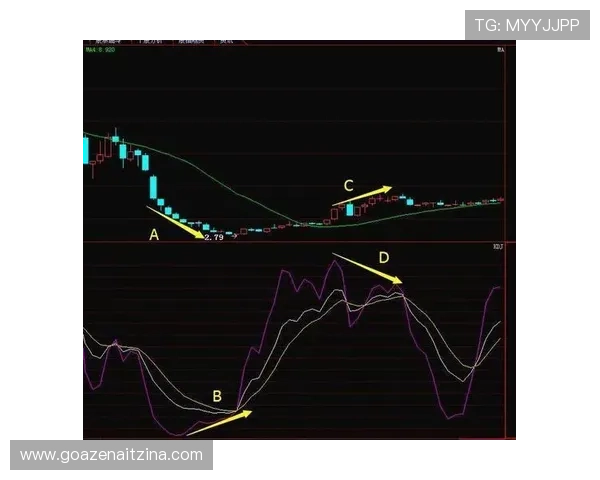 310足彩预测大揭秘助你精准把握比赛走势提升中奖几率的实用技巧